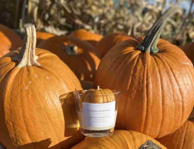 Ręcznie robiona świeca sojowa w szkle o zapachu ciasta dyniowego, Woskowa manufaktura